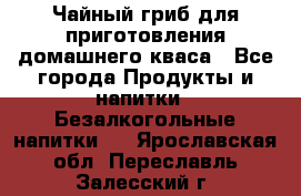 Чайный гриб для приготовления домашнего кваса - Все города Продукты и напитки » Безалкогольные напитки   . Ярославская обл.,Переславль-Залесский г.